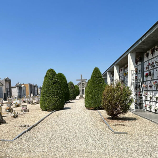 Manutenzione cimitero: taglio erba, alberi e pulizia aree comuni